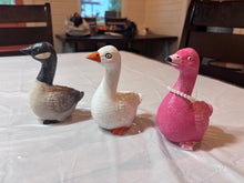 08/16/2026 11 am Bea’s Birthday Party. There’s a goose on the loose!