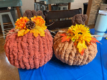 09/19/2026 10 am Chunky Knit Pumpkins Workshop