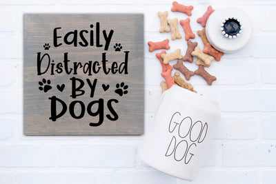 12/11/2023 6 pm It's All about our Pets Workshop at Bark Avenue