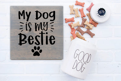 12/11/2023 6 pm It's All about our Pets Workshop at Bark Avenue