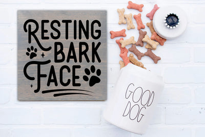 12/11/2023 6 pm It's All about our Pets Workshop at Bark Avenue