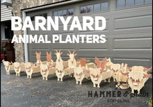 Pre-Order Animal Planters